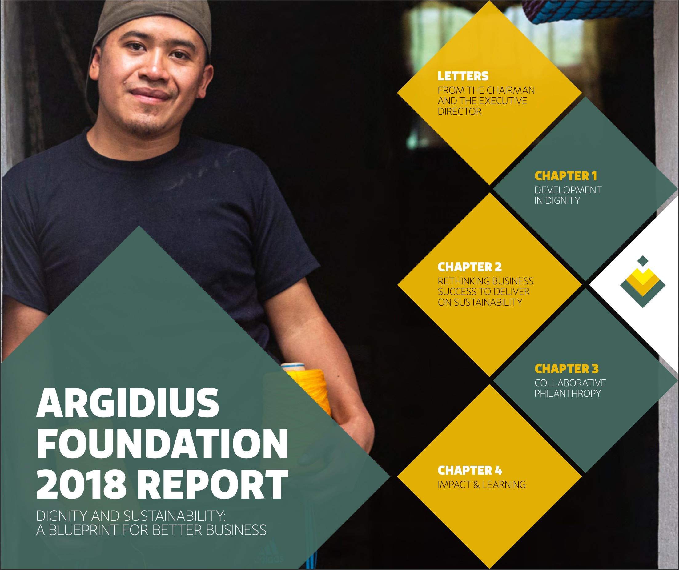 Argidius Foundation 2018 report - Iungo capital downloads